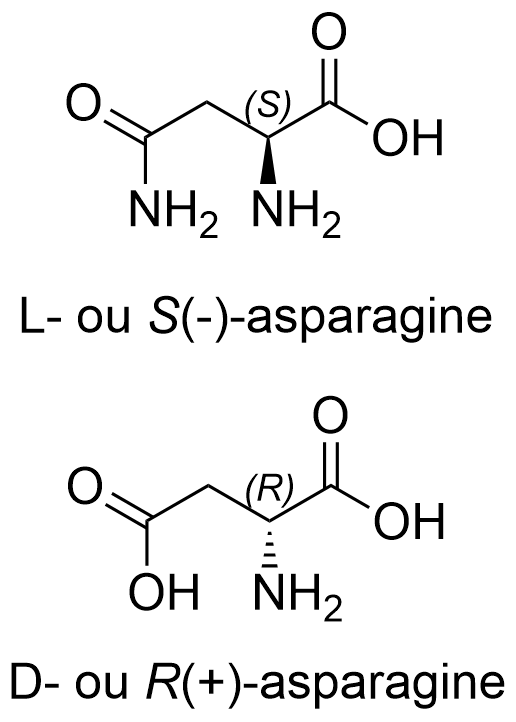 Fichier:Rédaction-Asparagine (Asn, N).png — Le Dictionnaire