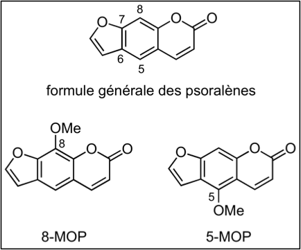 Fichier:Groupe 4-Psoralène.png