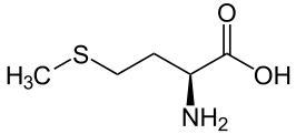 Fichier:Groupe 11-Méthionine (met ou m).png