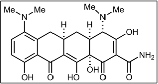 Fichier:Groupe 4-Minocycline.png
