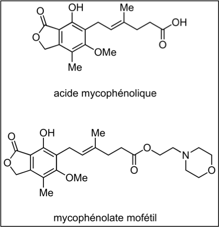 Fichier:Groupe 4-Mycophénolique (acide).png