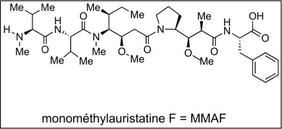 Fichier:Monométhylauristatine F.png