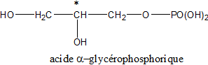 Fichier:Groupe 1-Glycérophosphorique (acide).png
