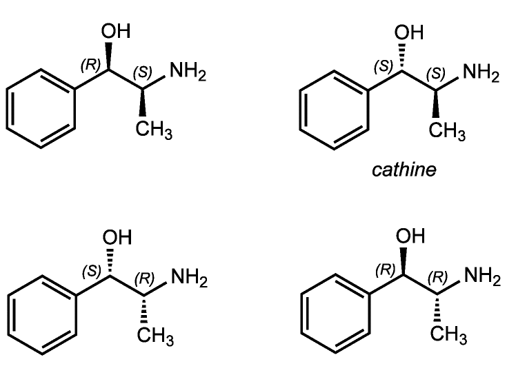Fichier:Groupe 7-Phénylpropanolamine (chlorhydrate de).png