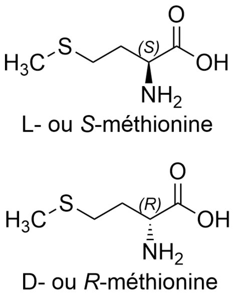 Fichier:Méthionine (1).png