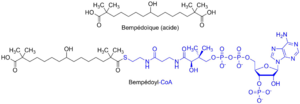 Vignette pour Fichier:Bempédoïque (acide) et Bempédoyl-CoA.png