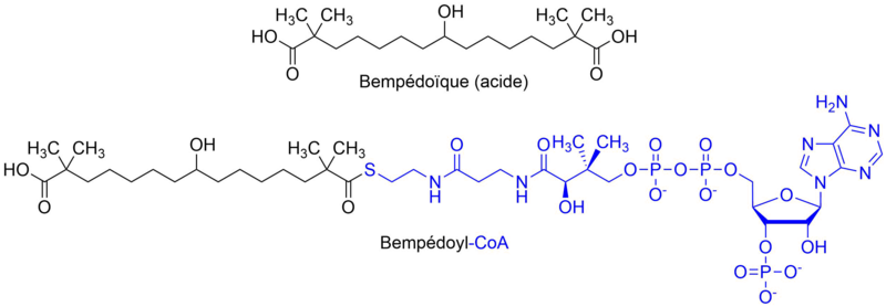 Fichier:Bempédoïque (acide) et Bempédoyl-CoA.png