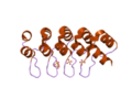 Vignette pour Fichier:Groupe 10-DARPin (Designed Ankyrin Repeat Protein).png