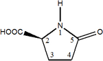 Vignette pour Fichier:Groupe 1-Pyrrolidone-carboxylique (acide).png