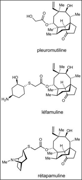 Fichier:Groupe 4-Pleuromutiline.png